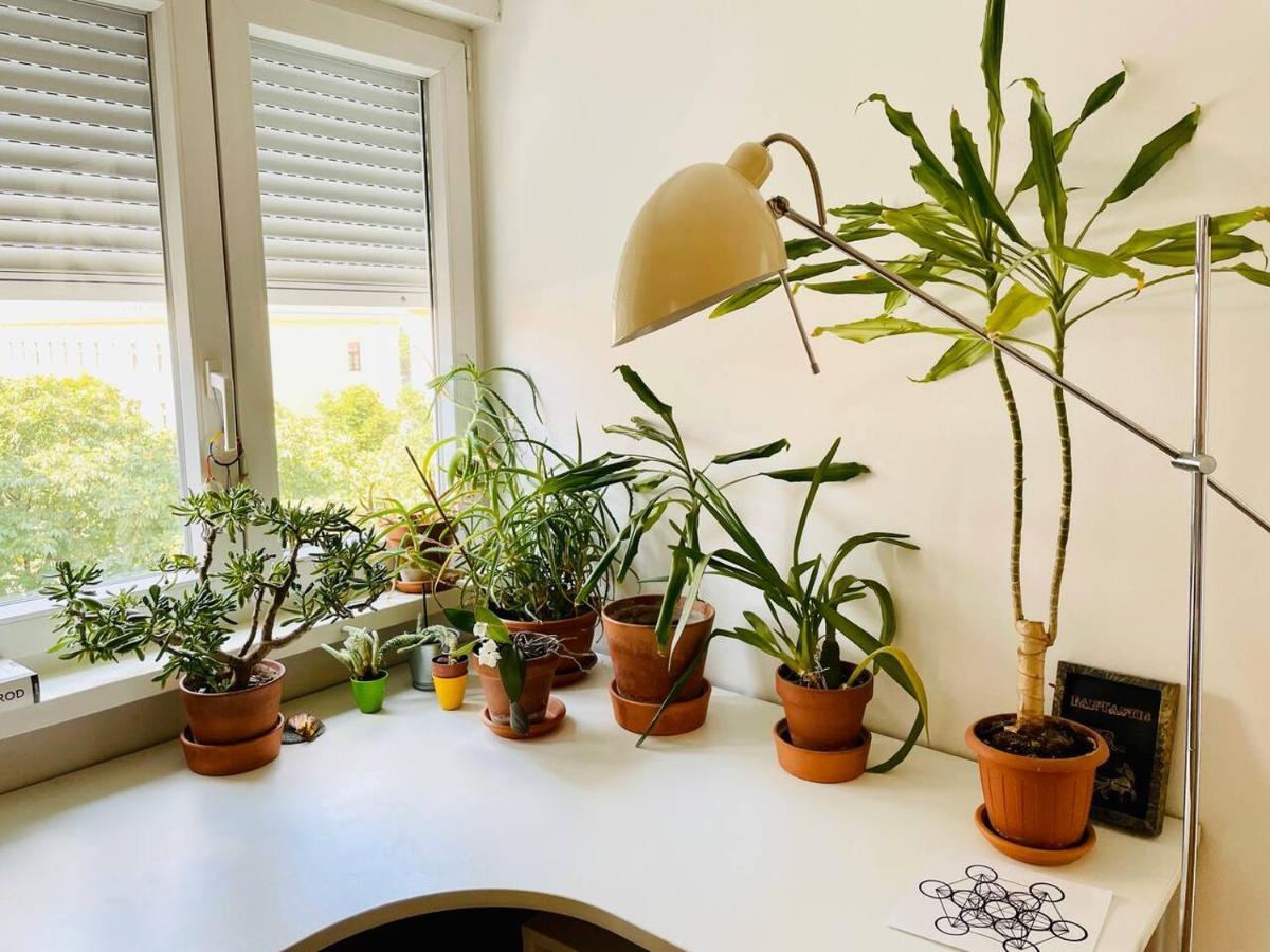 Apartment Good Vibes Apartment, Peaceful & Harmony Oasis